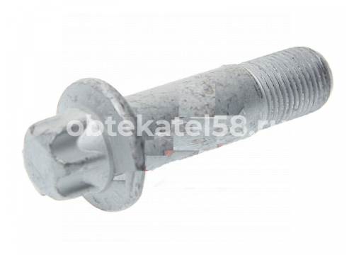 Болт крепления суппорта M16x1,5x59 Schmitz 017889 PE 296.003-00A