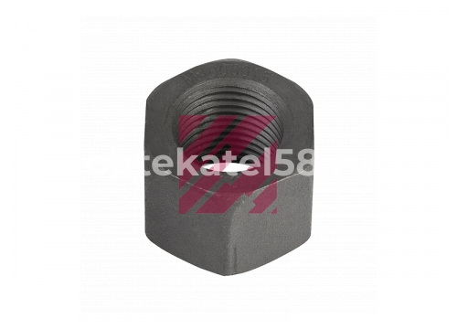 Гайка крепления колеса H=25; 22х2 BPW Marshall М4000015