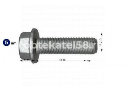 Болт крепления суппорта M16x1,5x55-10.9 Момент затяжки 260 Нм Mansons 600.198